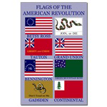 Flags of the American Revolution Mini Poster Print